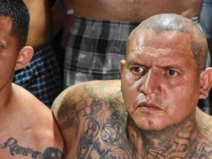 Mara Salvatrucha pide cuota a transporte público en Chiapas