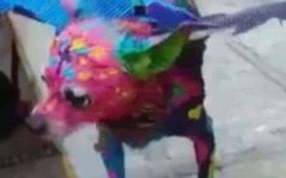 Mujer pinta a perro como alebrije para concurso de disfraces