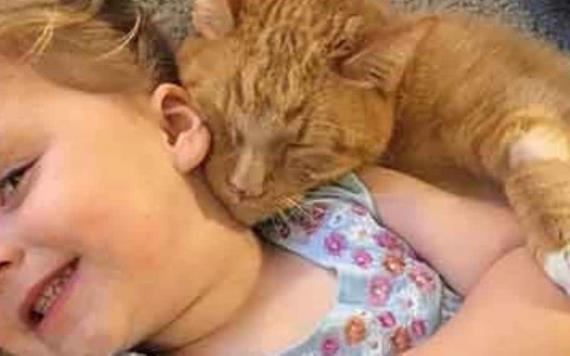 Hasta el último instante esta niña le cantó a su gatito para que muriera en paz