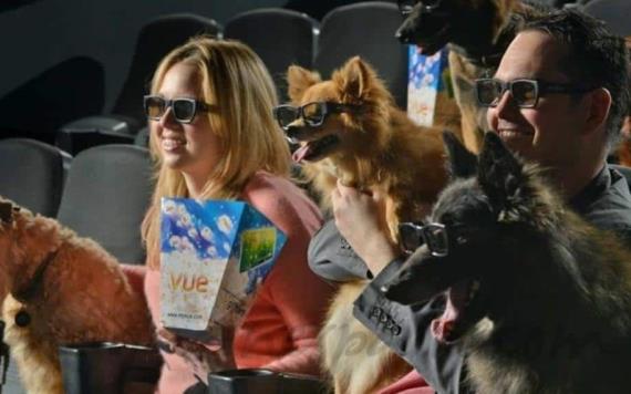Crean cine para perros en Texas