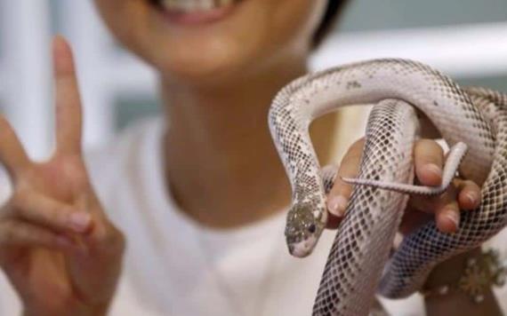 Este Zoológico te invita a poner el nombre de tu ex a una serpiente