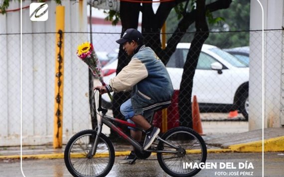 ¿Te han roto el corazón? No creemos que te hayas salvado de ser parte del porcentaje