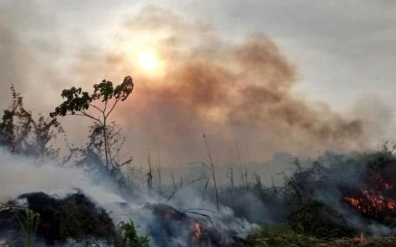 50 incendios de pastizales se registran en Tabasco