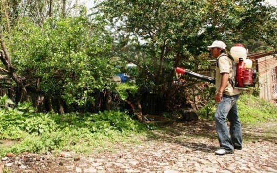 Estas tres colonias de villahermosa presentan más casos de dengue