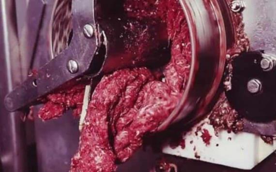 Mujer muere triturada por una moledora industrial de carne
