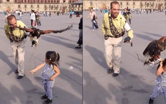 VIDEO Águila ataca a niña en el Zócalo