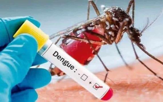 Confirma la Secretaría de Salud tres muertos por dengue hemorrágico en la entidad