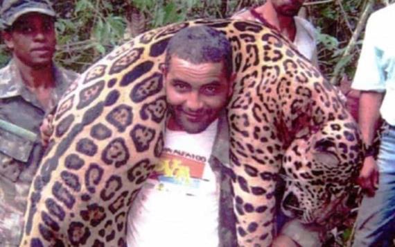 Matan a más de mil jaguares; Van a juicio