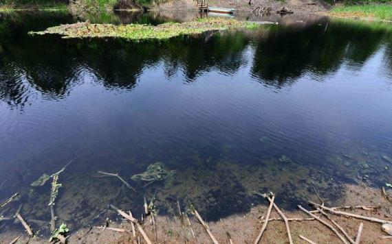 El Viejo Mezcalapa, un río que agoniza