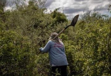 Asesinan a la activista Zenaida Pulido en Michoacán