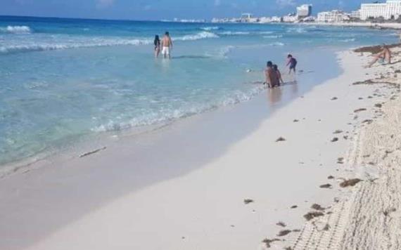 Lluvias y viento alejan al sargazo de las playas de Quintana Roo
