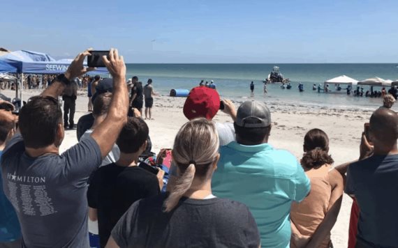 Ballenas varadas en playa de Florida son salvadas por turistas 