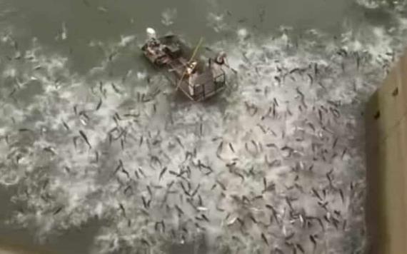 Video: Usan electricidad para pescar