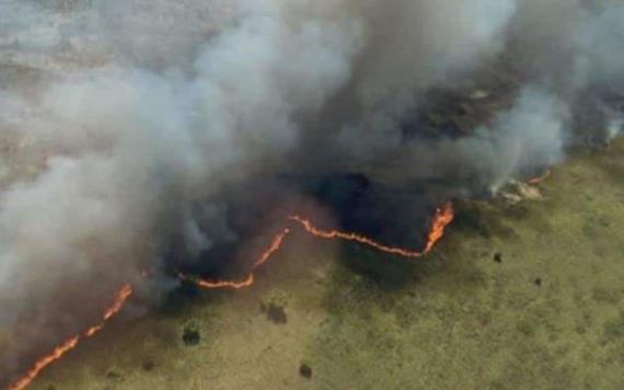 Extinguen incendio en reserva ecológica de Quintana Roo, tras 29 días