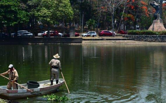 Arsénico, plomo y mercurio en el Vaso Cencali y la Laguna de las Ilusiones