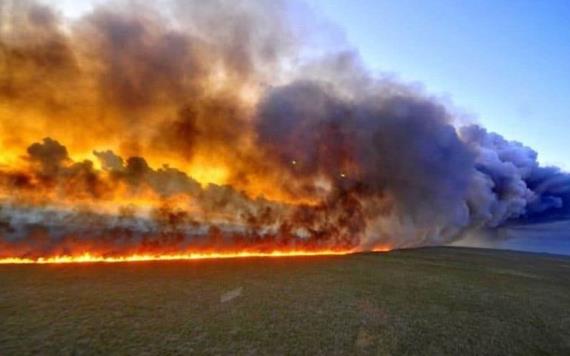La selva de la Amazonia en Brasil arde a una velocidad récord