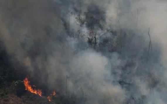 ¡Buenas noticias! Comienza Brasil a apagar el fuego en el Amazonas