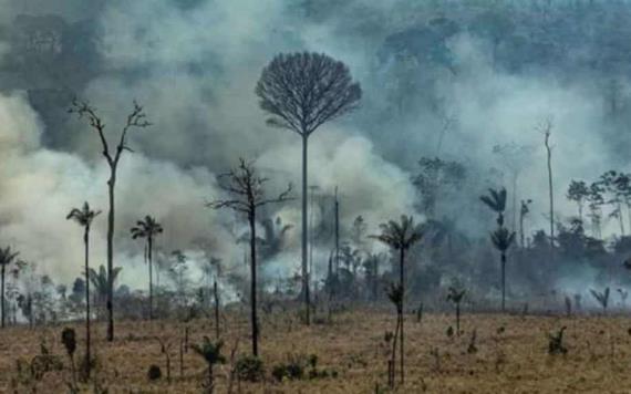 El Papa reza para que el incendio de la Amazonía sea controlado lo más rápido posible