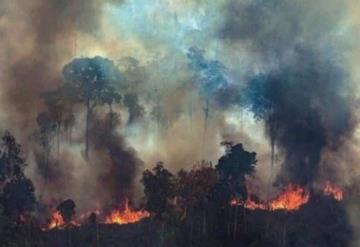 Caen posibles responsables de incendio en el Amazonas