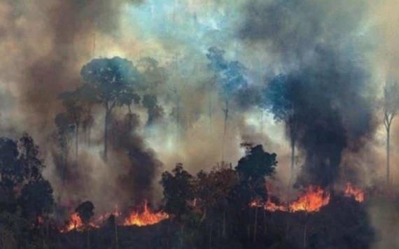 Caen posibles responsables de incendio en el Amazonas