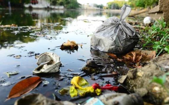 Microalga y basura  acaban con ríos y lagunas en Tabasco