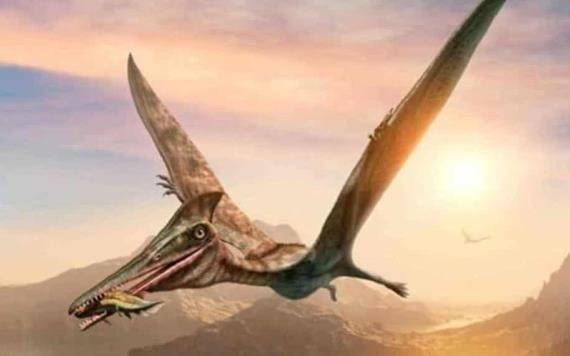 Descubren una nueva especie de Pterosaurio