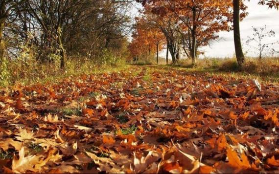 Otoño: cuánto dura y cuándo es el cambio de horario