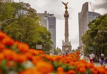 Decorarán vialidades de la CDMX con cempasúchil