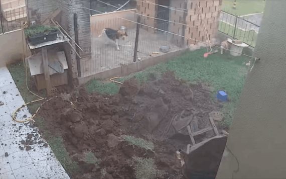 VIDEO: Hombre explota su jardín al intentar eliminar un nido de cucarachas