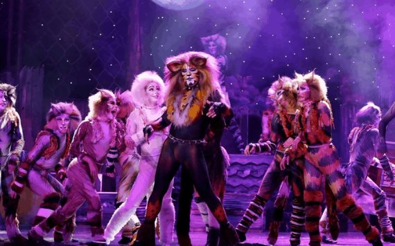 ¡CATS! El fenómeno musical más grande de Broadway viene a Tabasco 