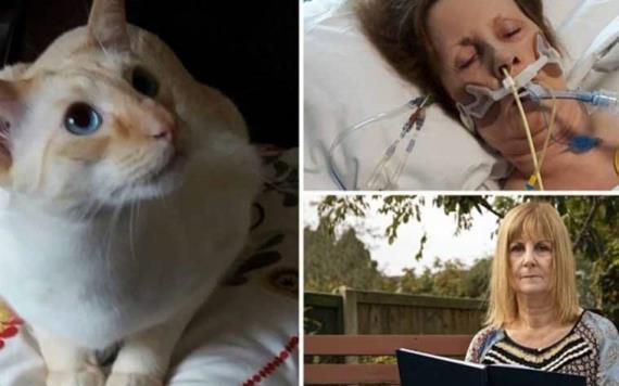 Mujer entra en coma tras ser arañada por su gato