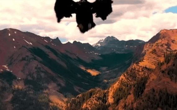 Video: Dron graba el feroz ataque de un águila que clava sus garras en pleno vuelo