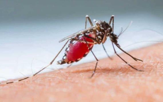 Casos de dengue en 3 escuelas