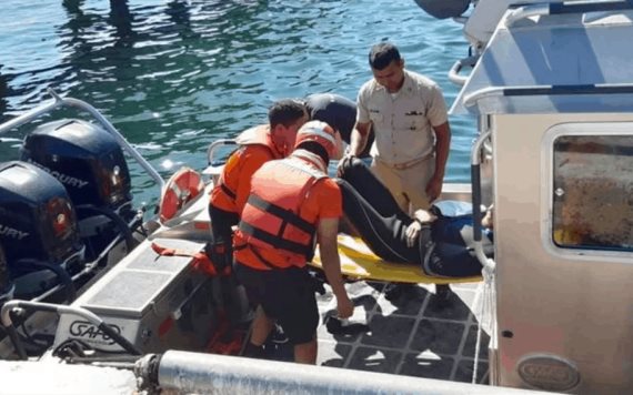Turista estadounidense es atacado por tiburón en Baja California Sur
