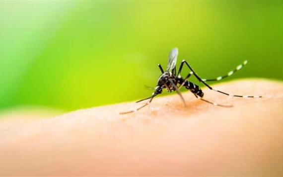 Casos de dengue en México se incrementan en cerca del 400 %