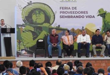 Sembrarán más plantas en 2020