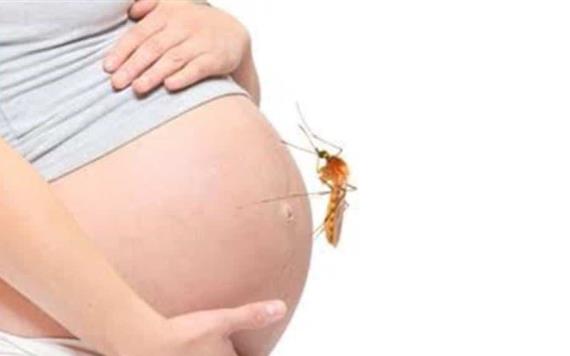 Detectan una embarazada con Zika en Tabasco