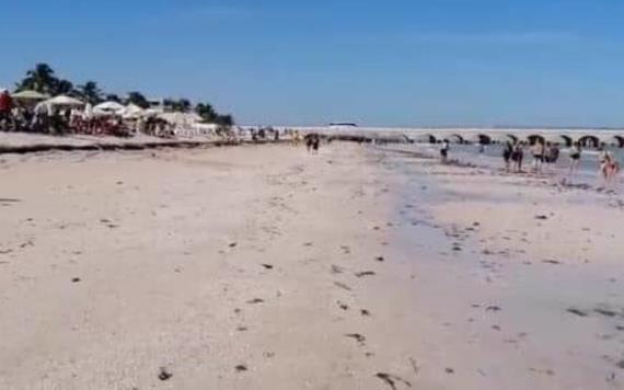 VIDEO Se aleja el mar más de 40 metros en Progreso