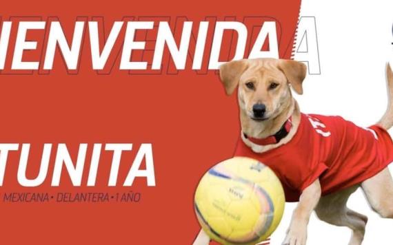 Atlético de San Luis integra a su equipo a una perrita que interrumpió un juego