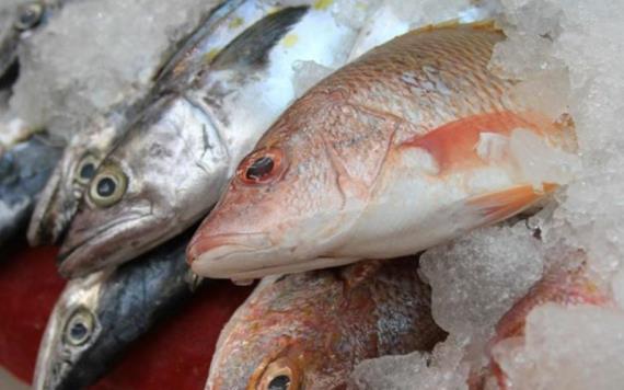 Baja venta de pescados y mariscos en Tabasco