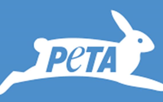 PETA arremete contra JLo