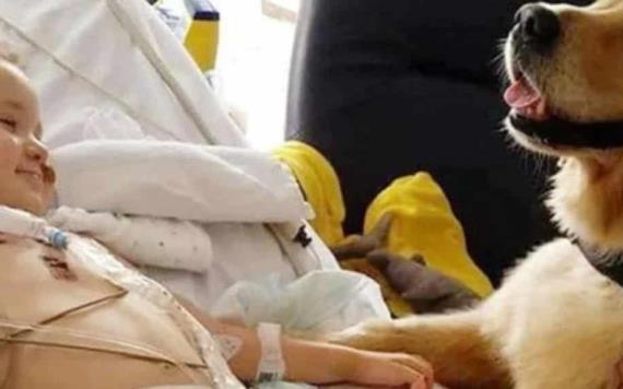 Terapia con perro salva la vida a niño con enfermedad terminal