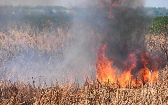 Aumentan incendios en Tabasco un 25 por ciento