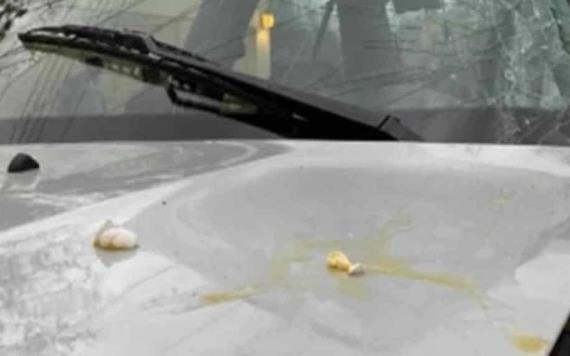 Aventaron huevos a parabrisas de vehículo de una policía, se chocó y murió