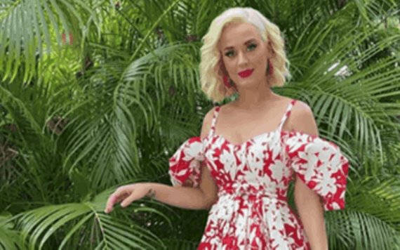 Katy Perry revela el sexo de su bebé con esta foto