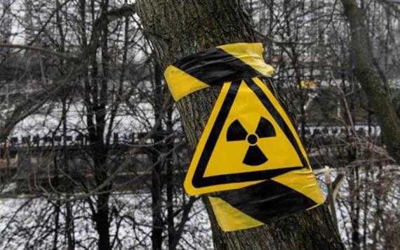 Aumenta radioactividad cerca de Chernóbil tras un incendio forestal
