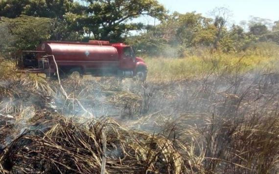 Las lluvias no serán suficientes para mitigar los incendios ocasionados por la sequía: IPC