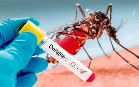 Sigue el incremento de casos de dengue en Tabasco