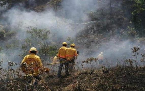 Murieron seis personas por incendio forestal en Oaxaca