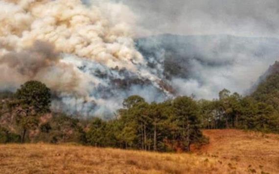Reportan 10 incendios forestales activos en Oaxaca